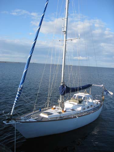 mantaelo09M.jpg (32870 bytes)